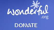 donate via wonderful